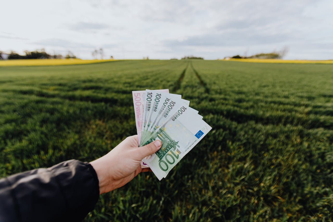 Crafting Captivating Headlines: Your awesome post title goes here Hand holding euro banknotes against a lush green rural field, symbolizing financial growth.